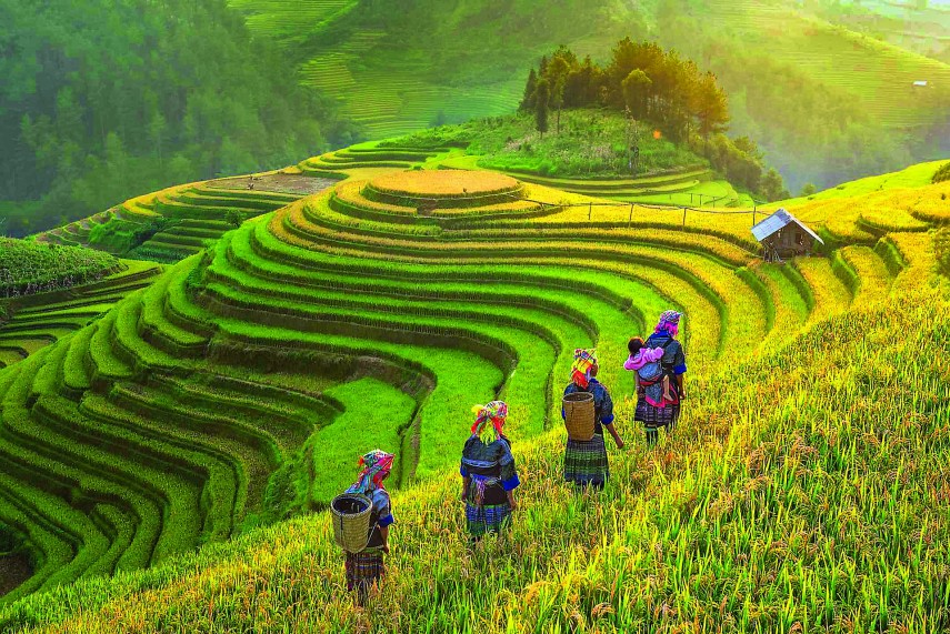 Festivals in Sapa