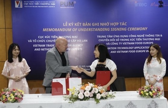 Vietnam, the Netherlands promote exports through digital environment