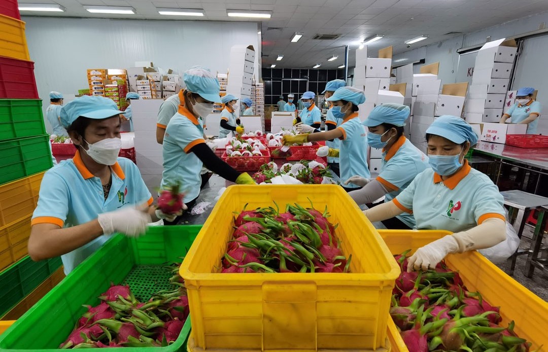 EVFTA provides impetus for Vietnam-Italy trade