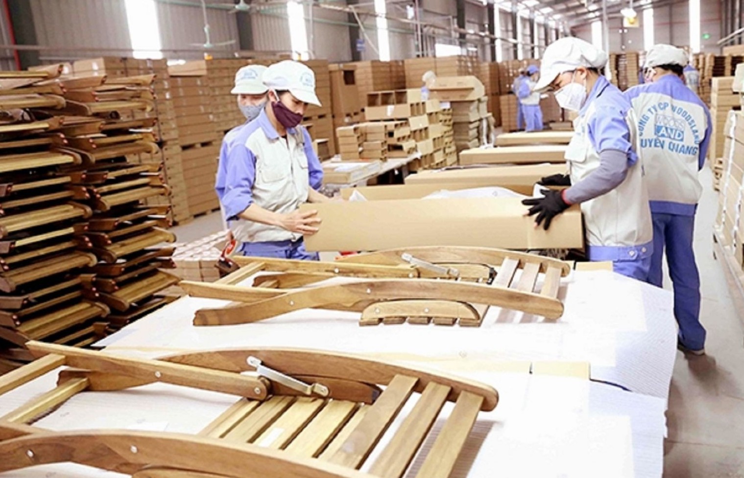 Wood exports impacted by EU deforestation regulations
