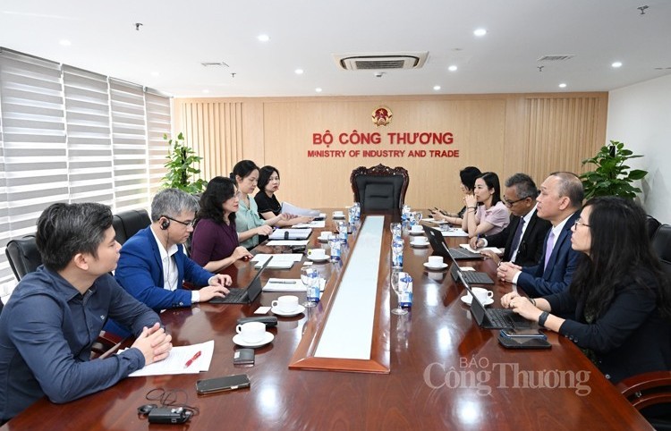 Vietnam hopes for stronger cooperation with WB in sustainable clean energy