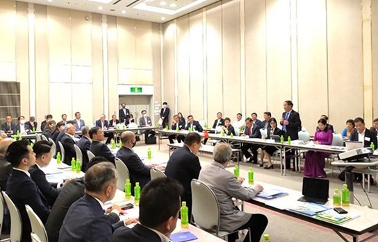 Binh Dinh province calls for more Japanese investment