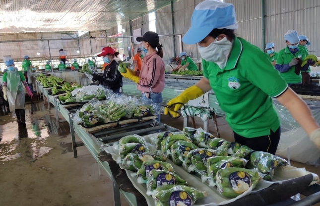 Finding niche market opportunities for exports