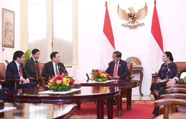 Việt Nam, Indonesia to raise trade to $15b by 2028: Leaders