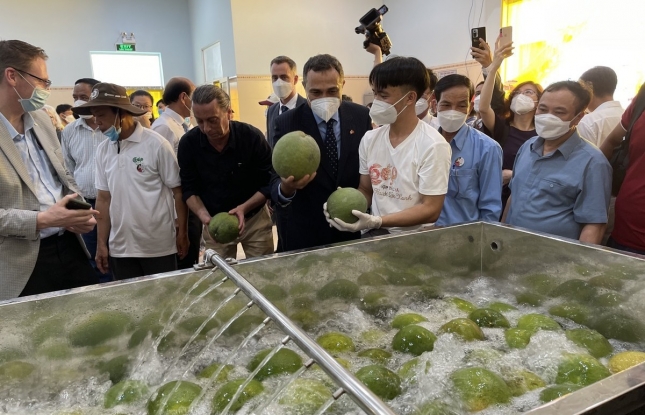 Vietnamese firms warned about export scams to Canada