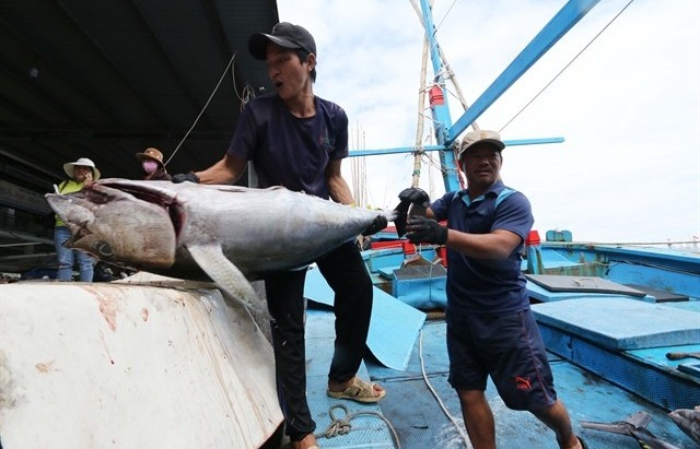Tuna export orders expected to increase by year-end