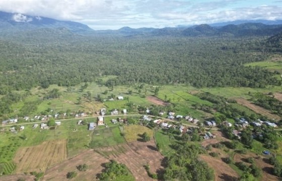 Southern province to destroy 600ha of forest to build reservoir