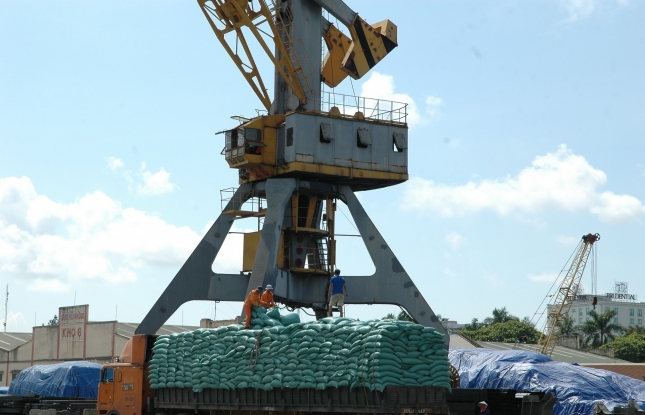 Promoting sustainable rice production and export