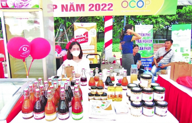 Hanoi boosts consumption of OCOP products