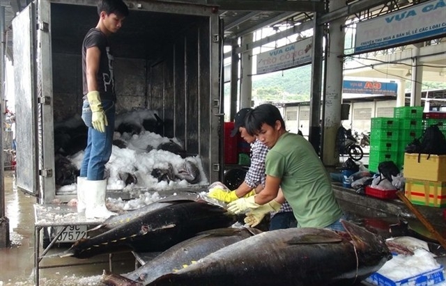 Many opportunities to boost tuna exports to the UK
