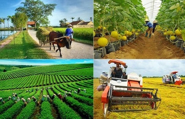 Development strategy of rural occupations and economic development approved