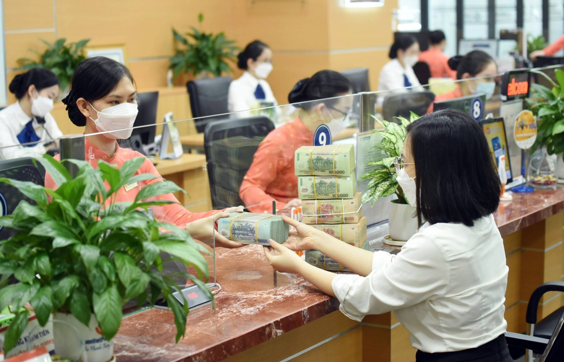 Better legal framework for green credit needed