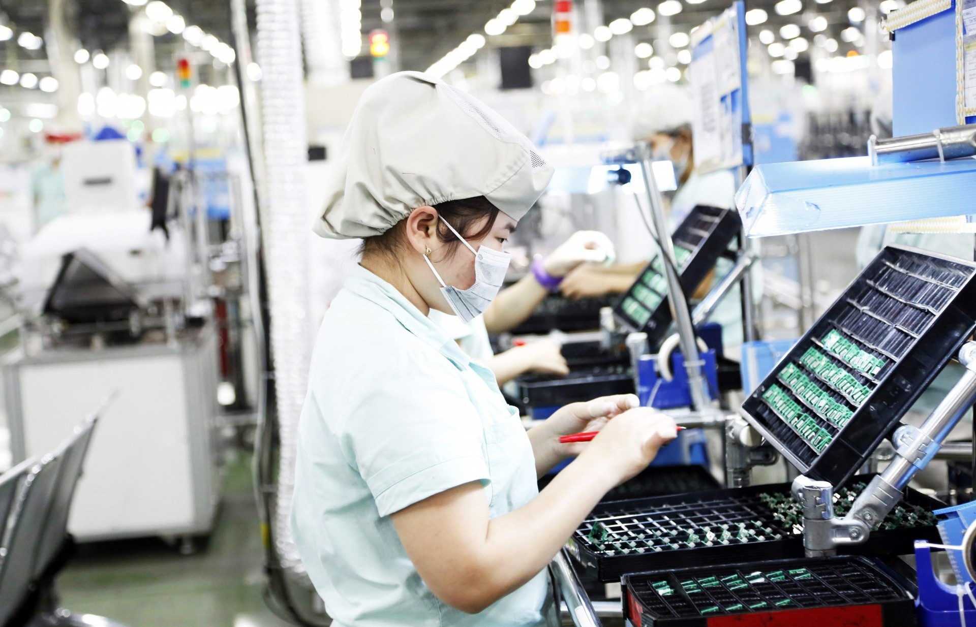 Vietnam, Japan increase green growth cooperation