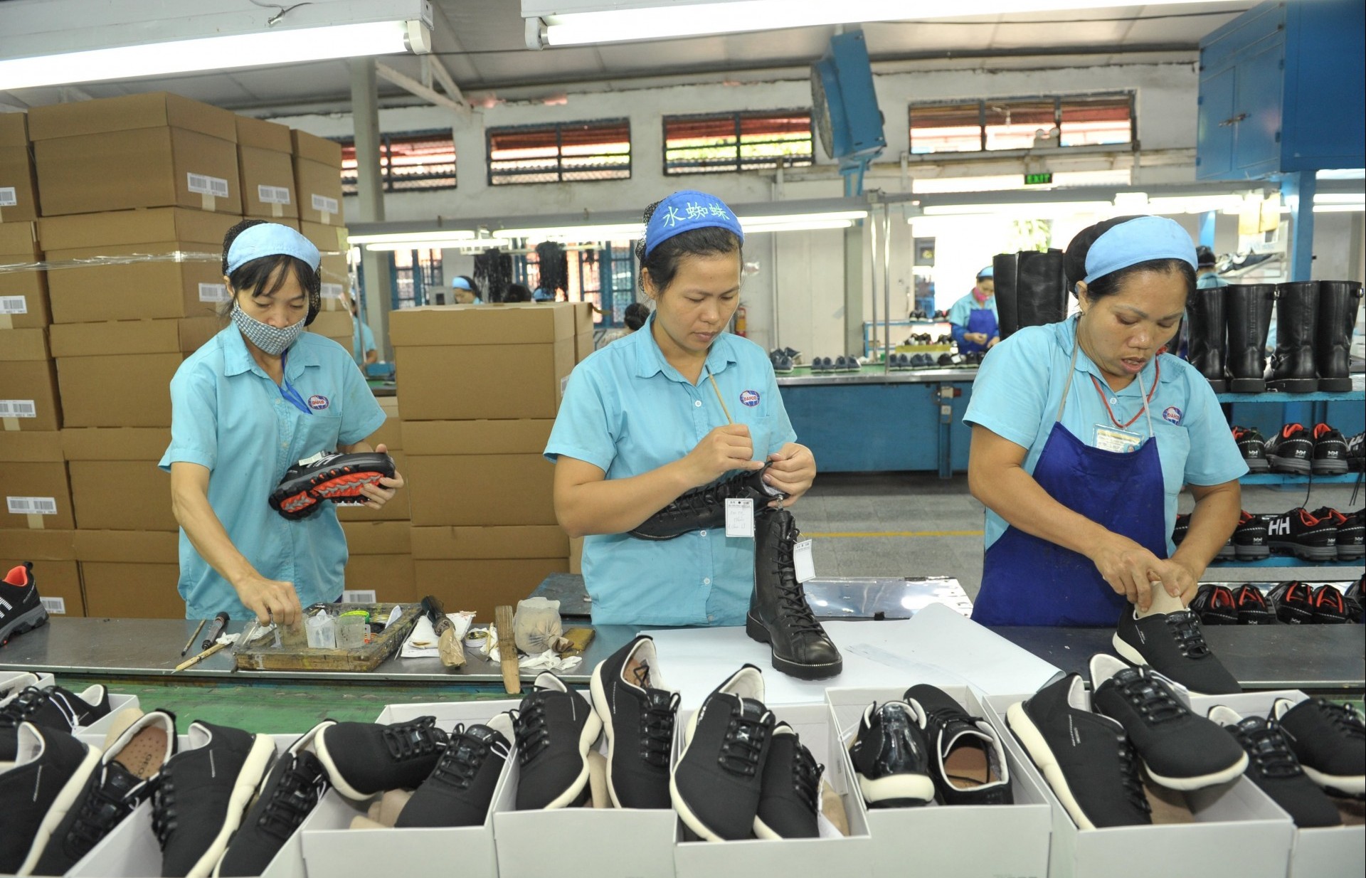 Processing, manufacturing industries drive economic growth