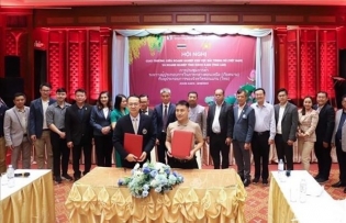 Vietnamese firms seek to boost trade ties with businesses in Thailand