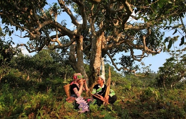 Efforts to promote products made by ethnic minorities and people living in moutainous areas