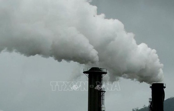 Vietnam makes efforts to develop domestic carbon market