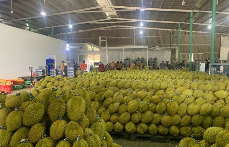 Fruit and vegetable exports expected to hit 5.5 billion USD in 2023