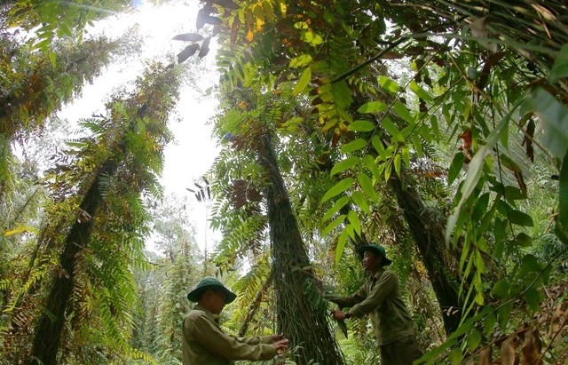 Việt Nam commits to reduce emissions by 2030