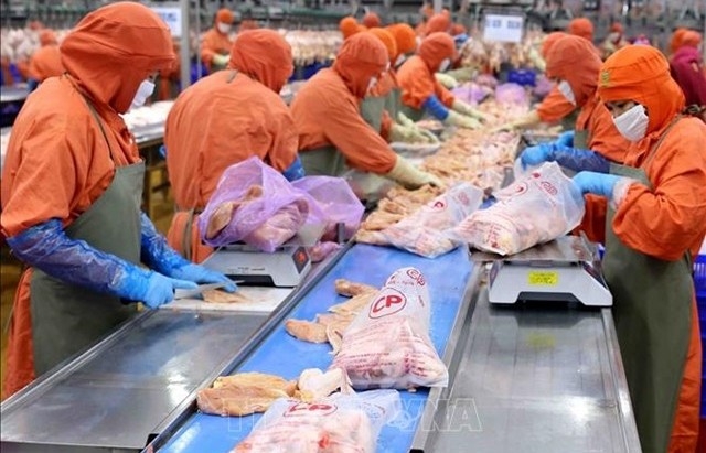 Agriculture sector achieves trade surplus of $8b in nine months