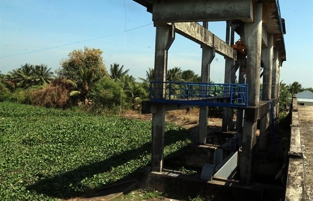 Saltwater intrusion forecast to come early in Mekong Delta