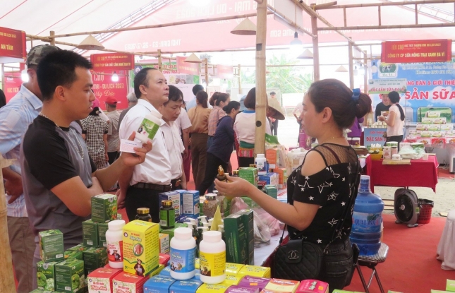 Hanoi takes promotion leaps