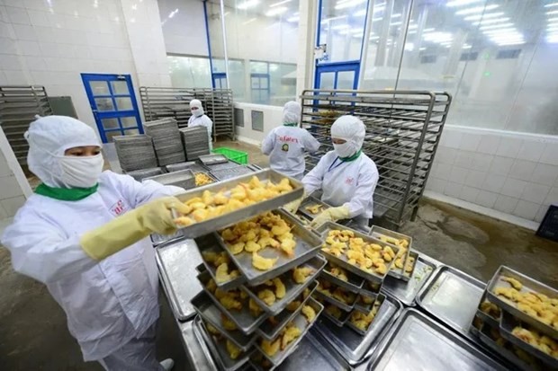 Seafood processing for export (Photo: VNA)