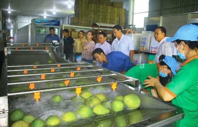 Dong Thap overcomes difficulties to complete industrial promotion program
