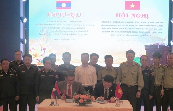 Vietnamese, Lao provinces intensify cooperation in forest protection