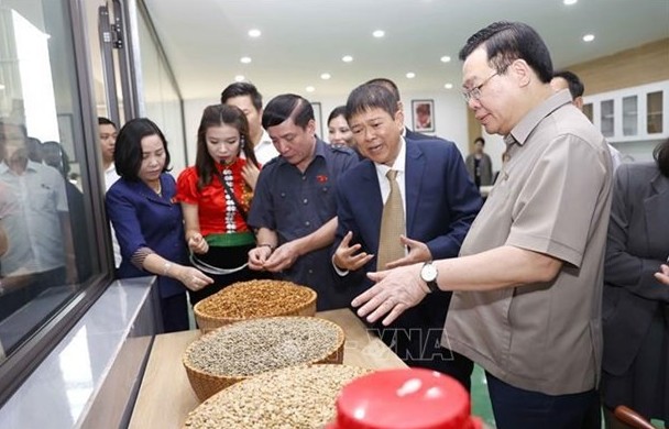 NA leader inaugurates coffee processing factory in Son La