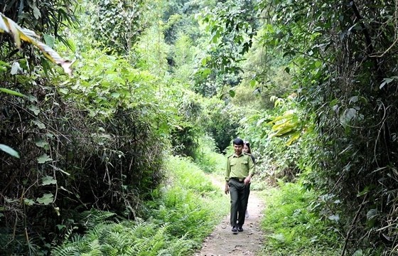 Parklife: Cúc Phương one of Asia