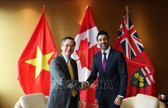 Vietnam holds important position in Canada’s Indo-Pacific Strategy: official