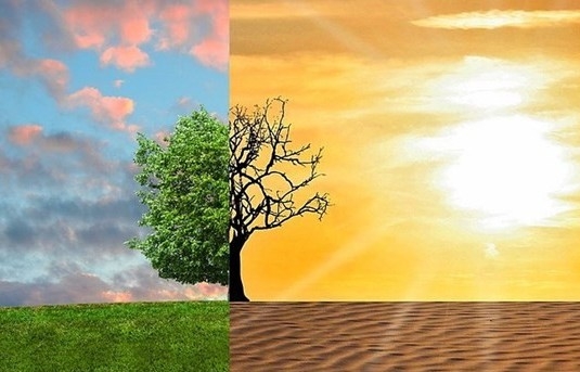 Vietnam strives to cut use of chemicals harmful to ozone layer