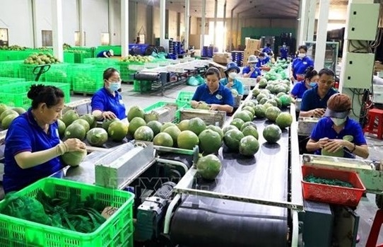 New record set in fruit, vegetable exports