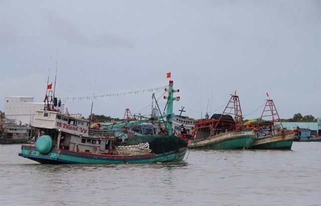 Prime Minister asks for solutions to combat illegal fishing