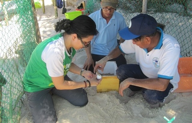 Chàm Islands eye on Nature Reserve promotion