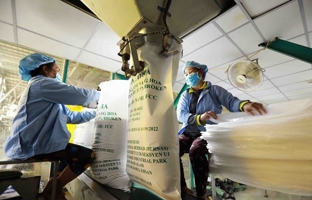 Vietnam promotes rice exports to China