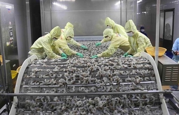Vietnam aims to improve shrimp export competitiveness
