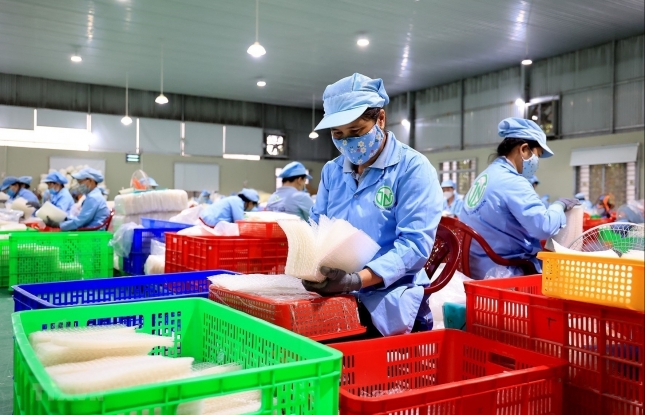 Joint efforts to take RCEP opportunities