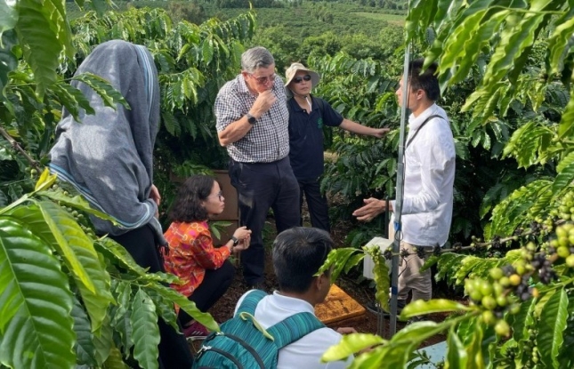 V-SCOPE project enhances coffee and pepper value chains