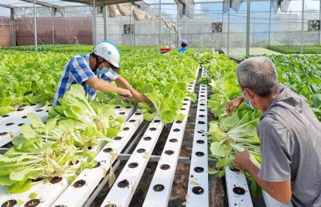 Breakthroughs in agriculture attributable to science, technology