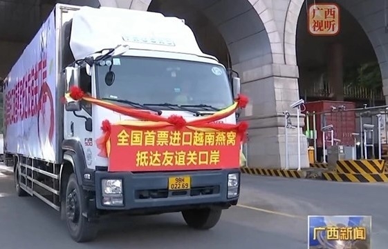 Vietnamese bird’s nest products enter China