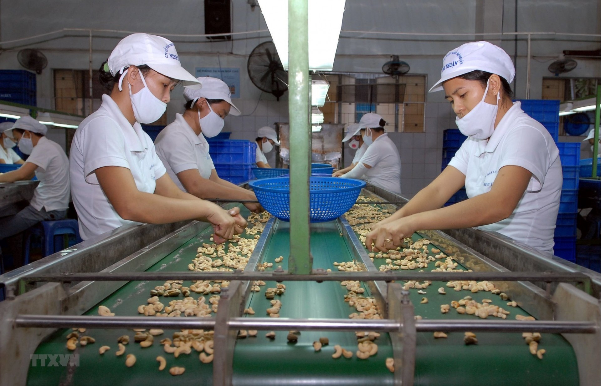 Agreement offers RoK market opportunities for Vietnamese goods