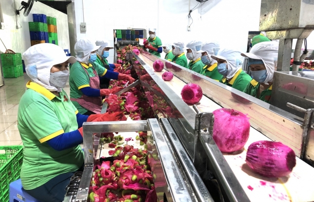 FTA Index creates new impetus