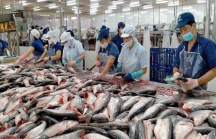 Efforts underway to boost seafood exports