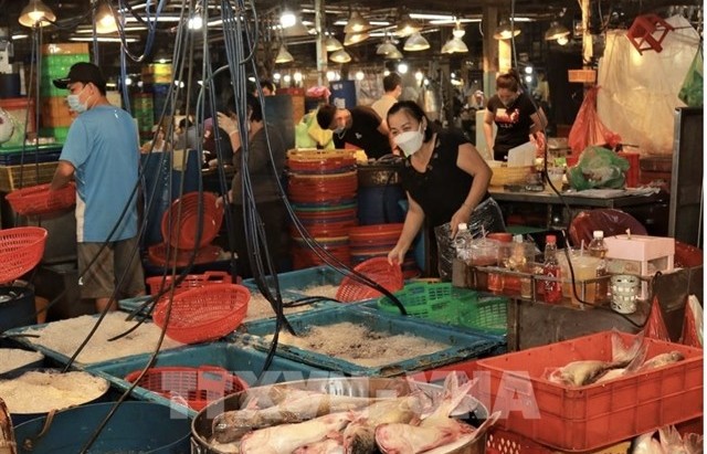 HCM City tightens food monitoring as Tết approaches