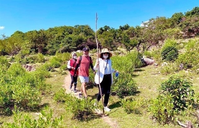 Việt Nam advised to promote development of forest-based ecotourism