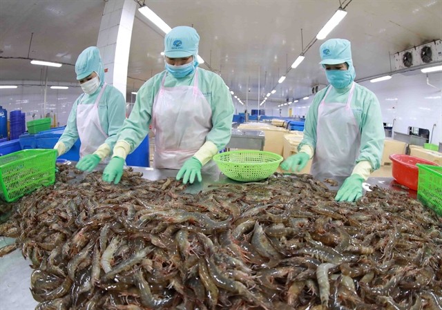 Việt Nam targets shrimp export turnover of US$4 - 4.3 billion this year. — VNA/VNS Photo Vũ Sinh