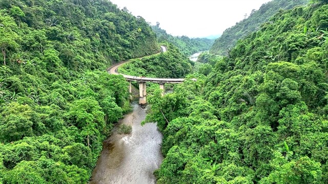 Động Châu-Khe Nước Trong Biosphere Reserve, located in the central province of Quảng Bình. — VNA/VNS Photo