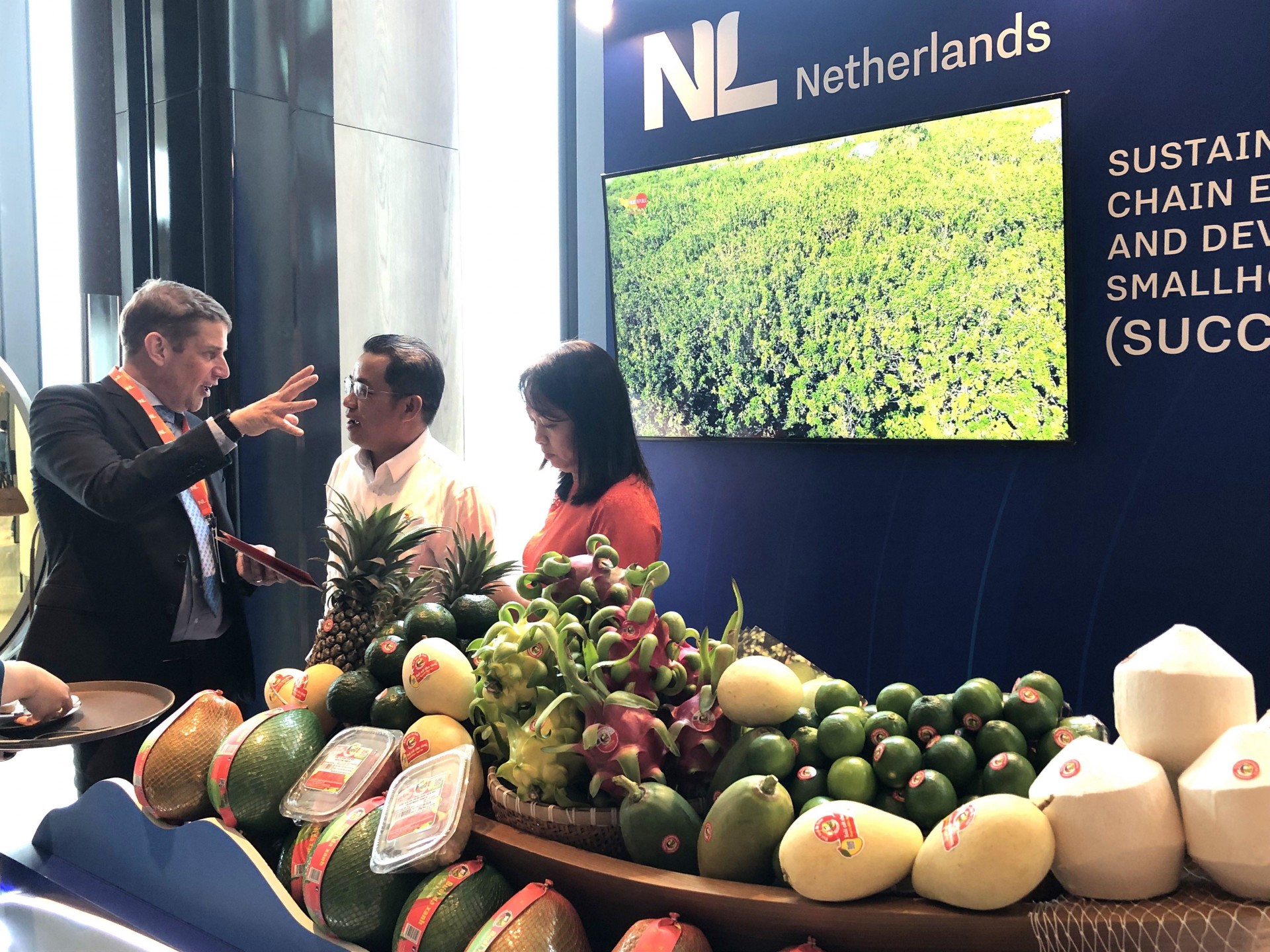 Dutch businessmen explore potential investment and trade opportunities in Vietnam